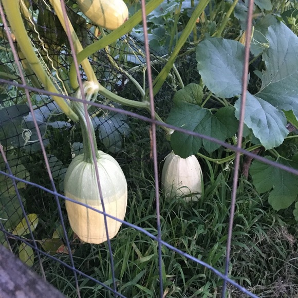 Meet your Posher, Janet - Picture 12 of 16